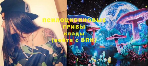 Альфа ПВП Аркадак