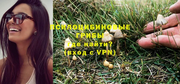 ALPHA PVP Арсеньев